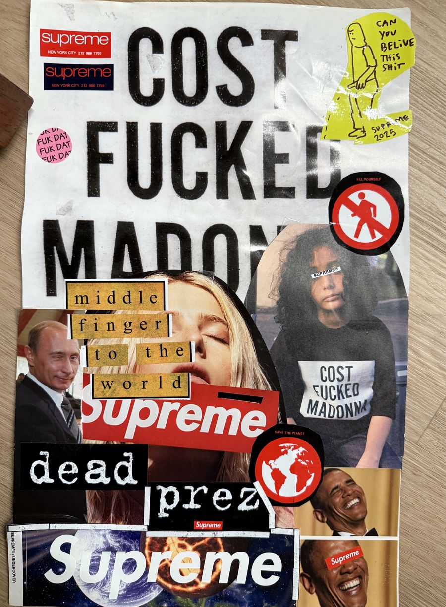 Collage page — Cost Fucked Madonna, Middle Finger to the World, and dead prez
