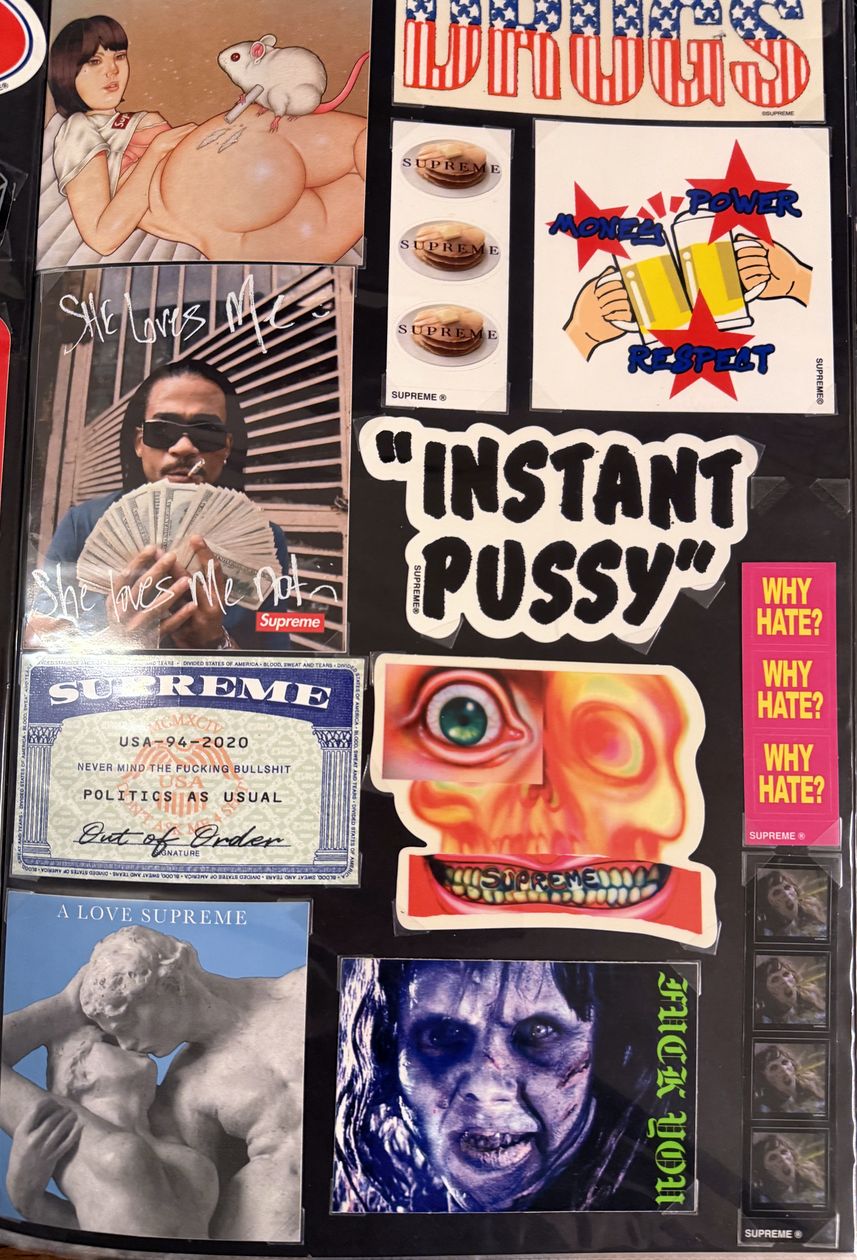 Binder page — Instant Pussy, Why Hate?, and skull stickers