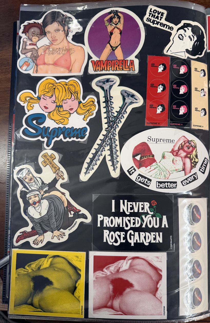 Binder page — pinup stickers and I Never Promised You a Rose Garden
